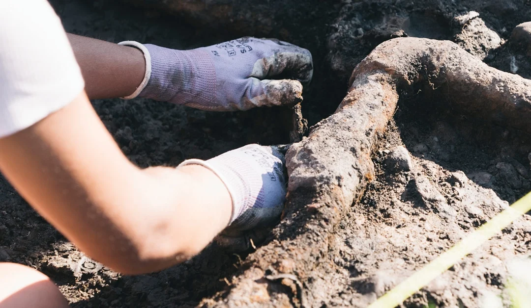 Digging up Edmonton’s past