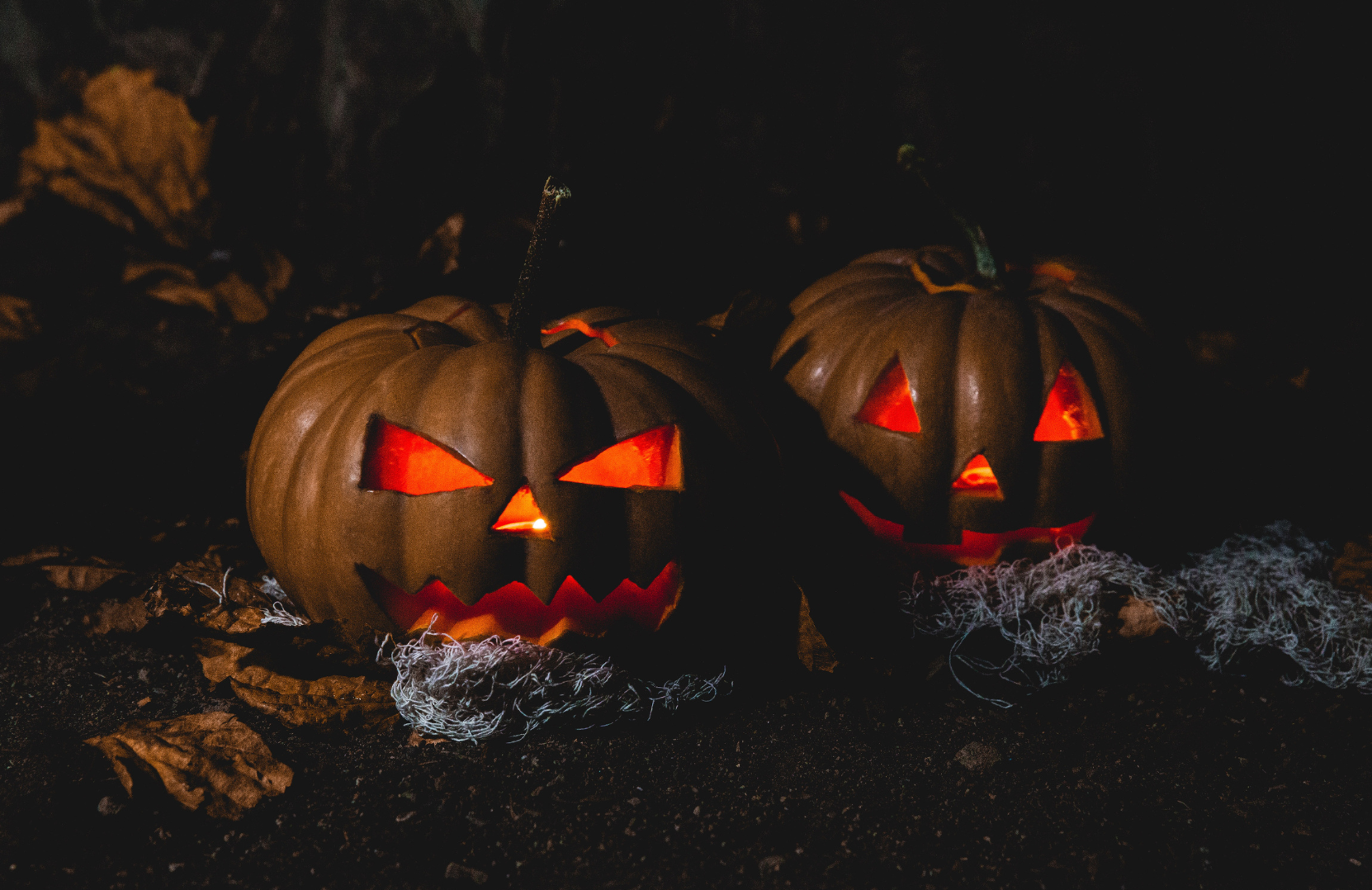 Five Halloween events in Deadmonton this fall