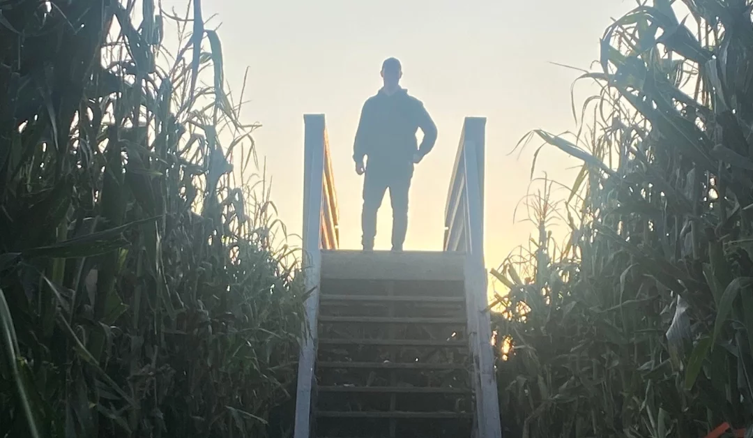 Afraid in a corn maze