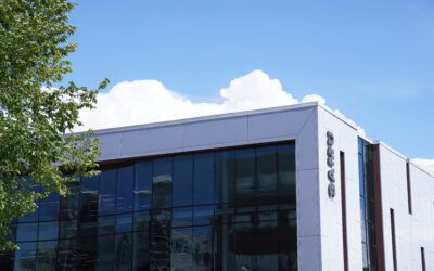 The return of the ombuds (or not)